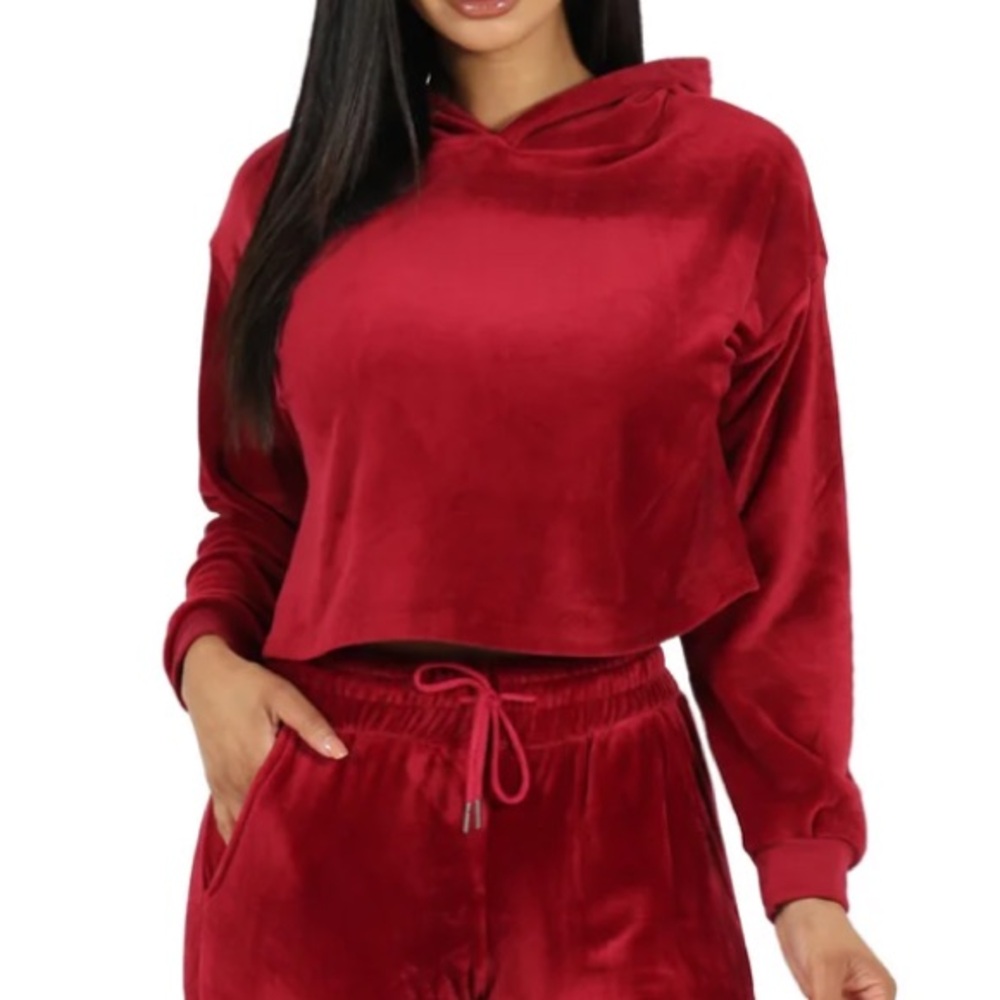 BBJ Los Angeles Y2K Velour Cropped Hoodie Deep Red Soft Cozy Women’s Size Large